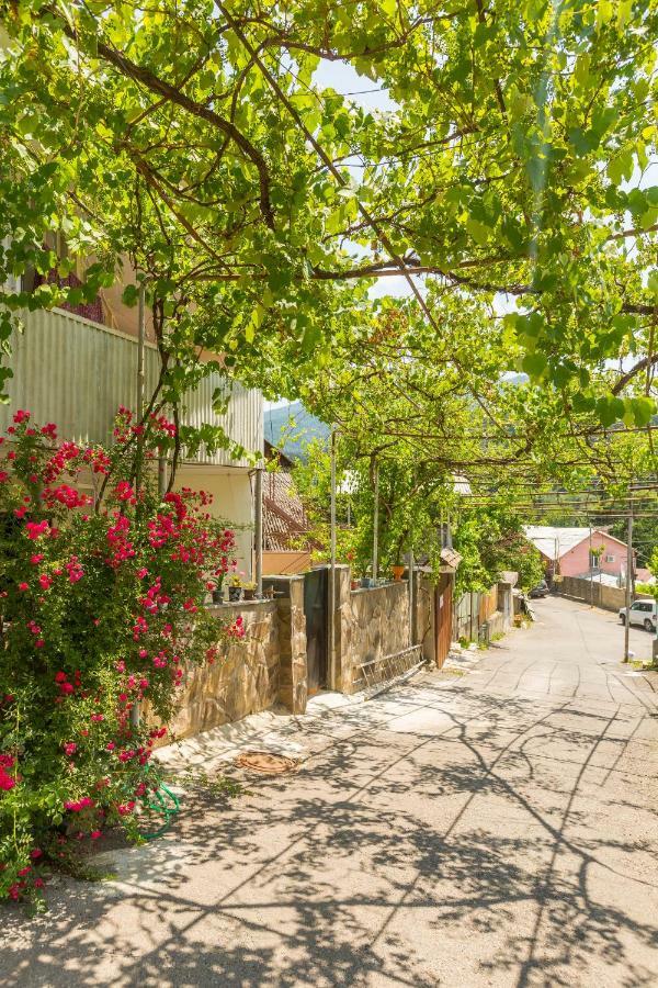 Mereti Hotel Borjomi Luaran gambar